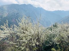 -苍山感通索道