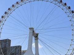 -海河游船-永乐码头(大悲院)
