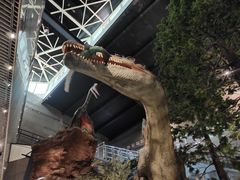 -湖南省地质博物馆