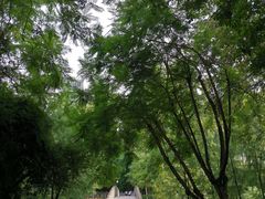 -重庆彩云湖湿地公园