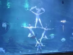 -福州罗源湾海洋世界旅游区