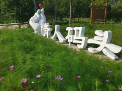 -东郊湿地公园