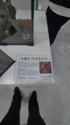 -神奇动物撸宠馆·羊驼·小浣熊·异宠(豫园店)