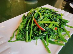 蒜蓉空心菜-煲煲好(朝阳门店)