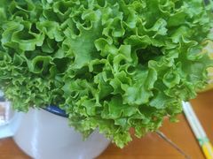 -老姐石板烧烤+铜炭火锅(总店)