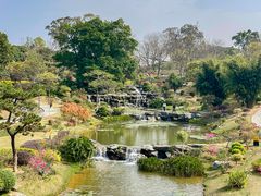 -东莞植物园