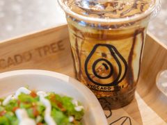 -油梨树AVOCADO TREE(嘉里中心店)
