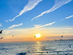 -北戴河碧螺塔海上酒吧公园