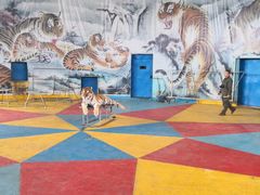 -新疆天山野生动物园