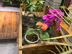 -苹果树下艺术餐厅(宋庄店)