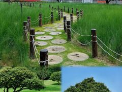 -红花山公园