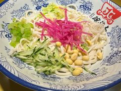 -大海碗·炸酱面·烤鸭·京菜(天坛店)