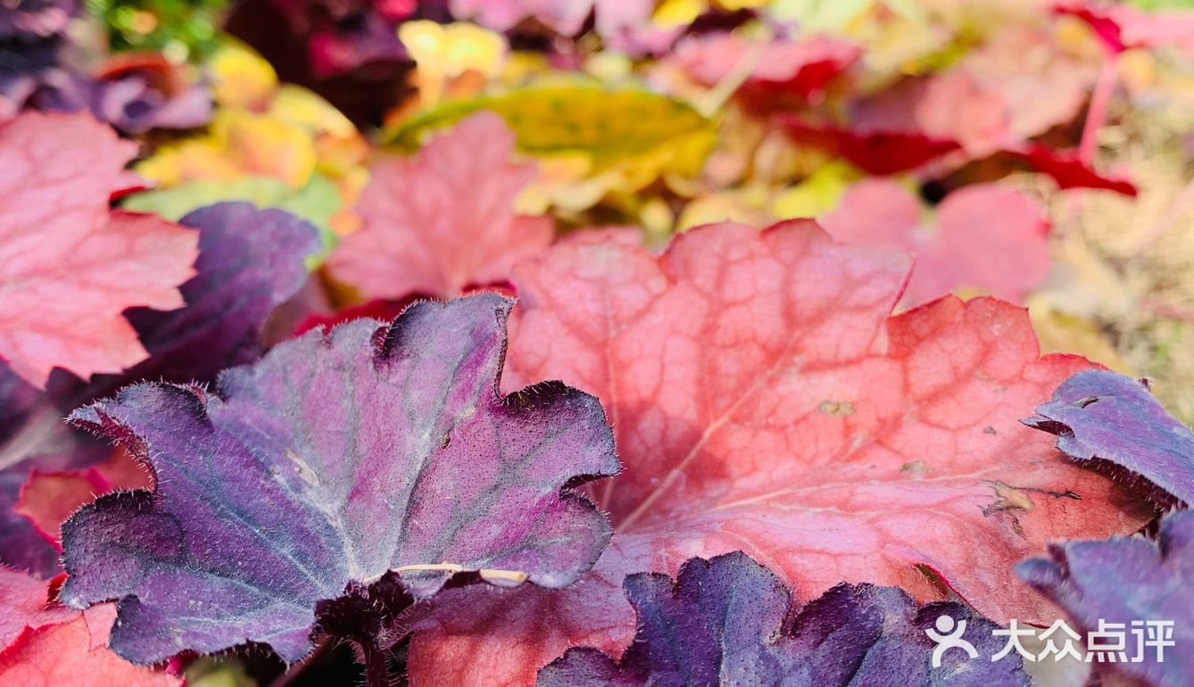 天很蓝，云很白，水很清，你很棒！