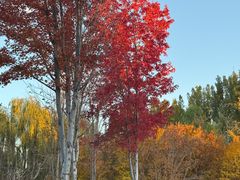 -回龙观体育文化公园