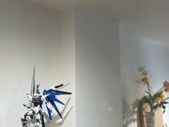 -团子君寿司·茶
