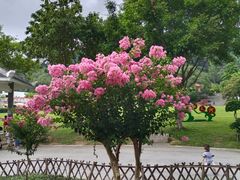 -火炉山森林公园