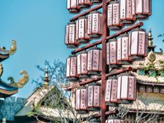 -海花岛旅游度假区