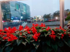 -壹海城ONE MALL