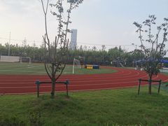 -上海惠灵顿外籍人员子女学校