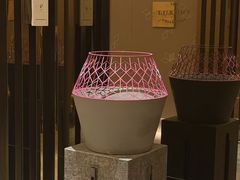-桃花源中餐厅(金茂豪华精选酒店)