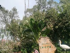 -深圳湾公园(南山区)