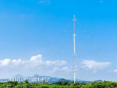 -福田红树林生态公园