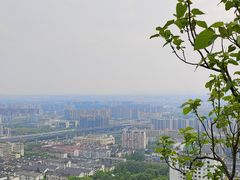 -杭州半山国家森林公园