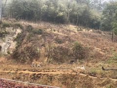 -杭州野生动物世界