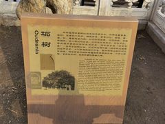 -潭柘寺景区
