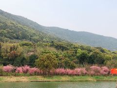 -苏州吴中太湖旅游区