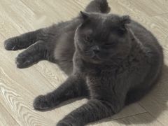 -戏精管理局·剧本杀·桌游·血染钟楼