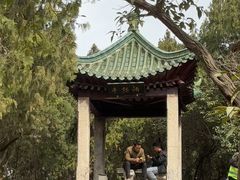 -云龙山