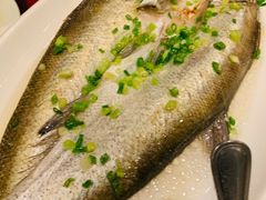 清蒸鲈鱼-金鼎轩(方庄天坛店)
