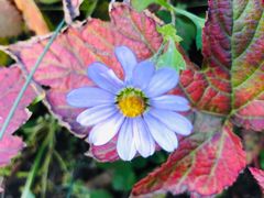 -白草畔自然风景区