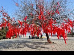 -冶父山国家森林公园