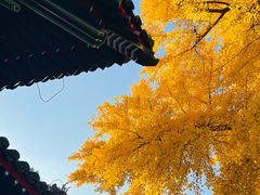 -承恩寺