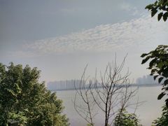 -艾溪湖湿地公园