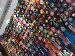 -more than meow吴止猫主题餐厅(承德 中船汇店)