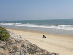 -润园四季椰子鸡火锅(南山海岸城店)