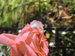 -HOME餐厅粤菜 融合菜