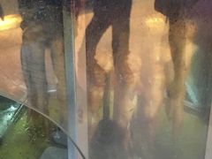 -一代烤翅王(大汉口店)