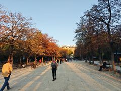 -卢森堡公园