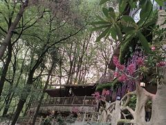 -巴倒烫陆派重庆火锅(南山店)
