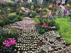 -沈阳植物园