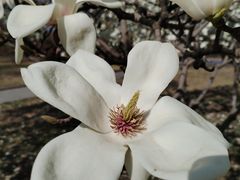 -中国人民抗日战争纪念雕塑园