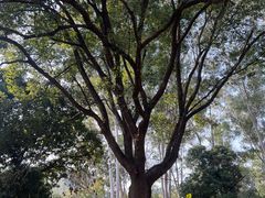 -福建鲤鱼洲酒店