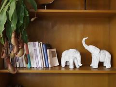 -至尚形象·化妆服饰搭配礼仪培训