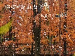 -青山湖景区