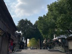 -乌镇东栅景区