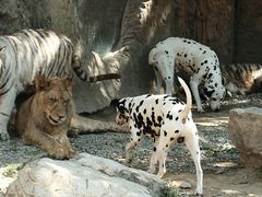 -北京野生动物园